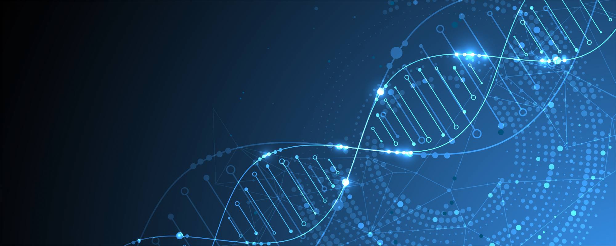 2025 Annual Grant recipients announced featured image